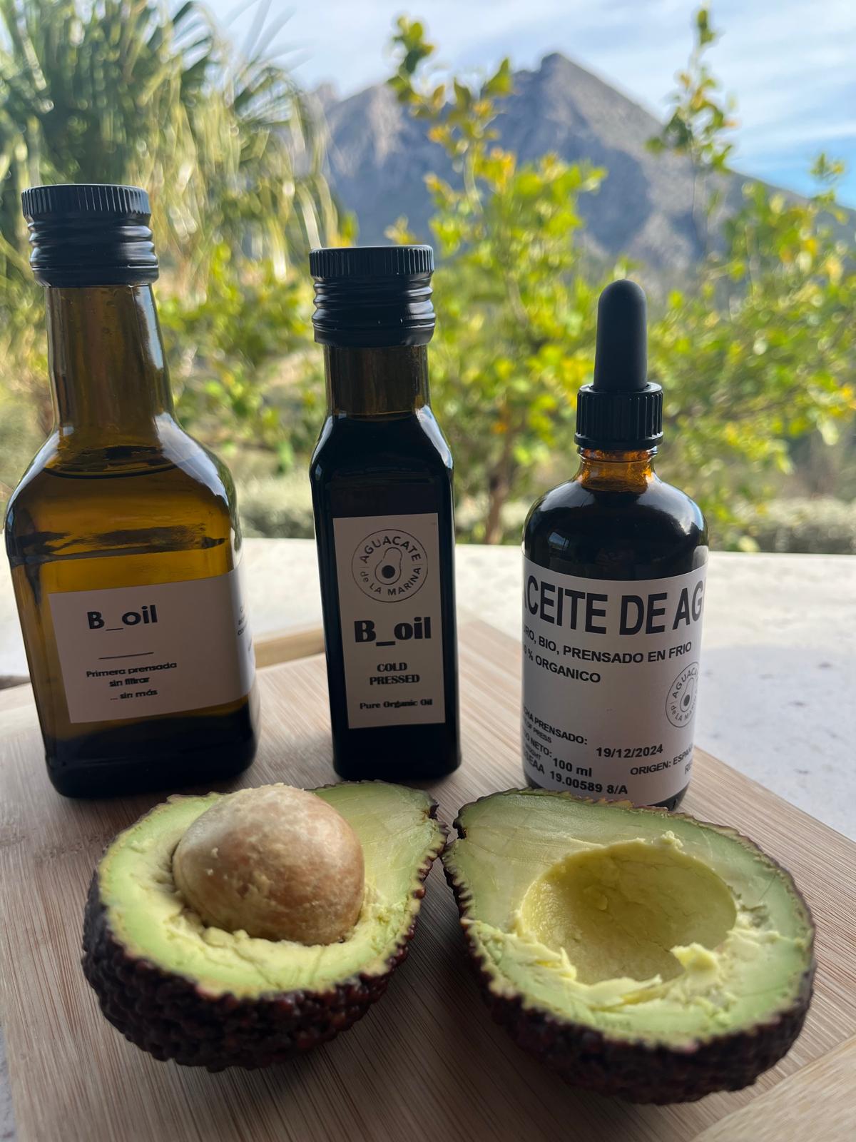 4 KG AGUACATE BACON (Solo envíos España) - Imagen 3