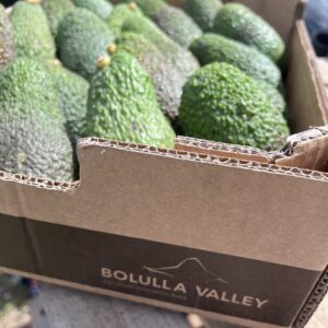 PACK 4KG DE AGUACATES