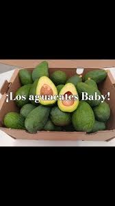 AGUACATE HASS BABY - PACK 4 KG - Imagen 4