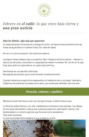 Aguacates newsletter febrero
